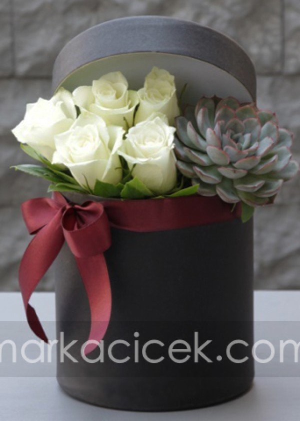 Kutuda Beyaz Güller ve Echeveria