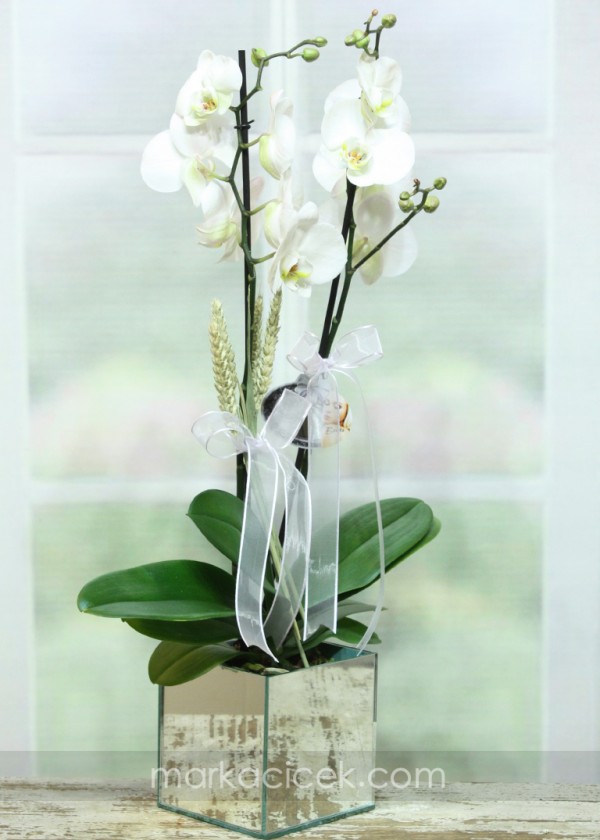 Ayna Vazo Beyaz Orkide