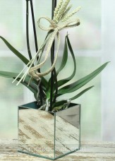 Benekli Orkide Ayna Vazoda